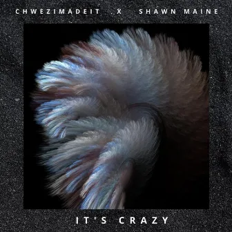 Its Crazy by Shawn Maine