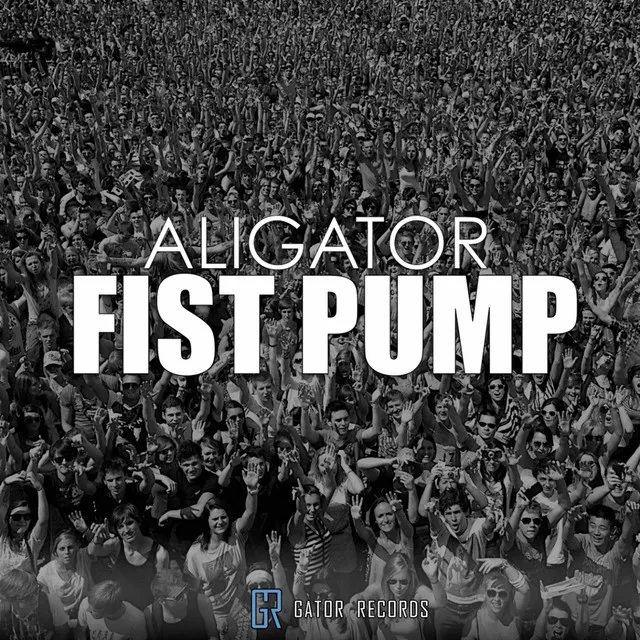 Fist Pump - Magfuld Remix