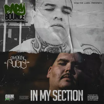 In My Section by Baby Bounce