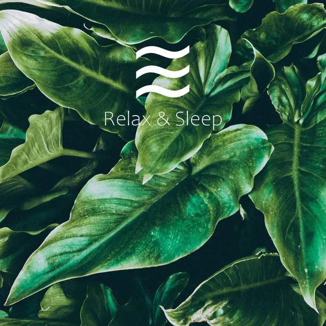 Soft Calming Noise for Relax and Rest