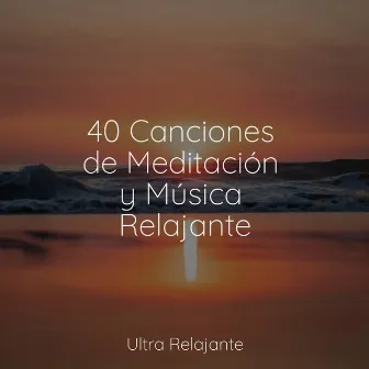 40 Canciones de Meditación y Música Relajante by Sonidos de lluvia para dormir