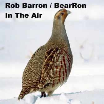 In The Air by Rob Barron / BearRon