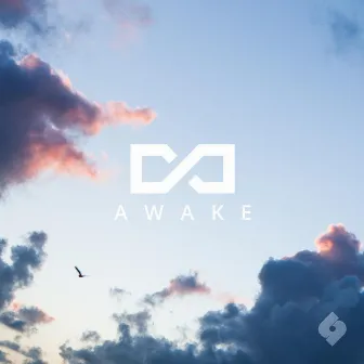 Awake by Chims