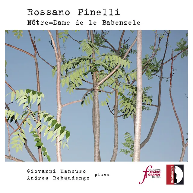 Rossano Pinelli: Nôtre-dame de le Babenzele