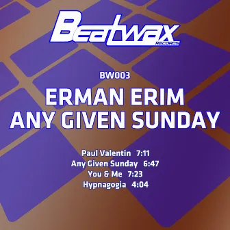 Any Given Sunday by Erman Erim