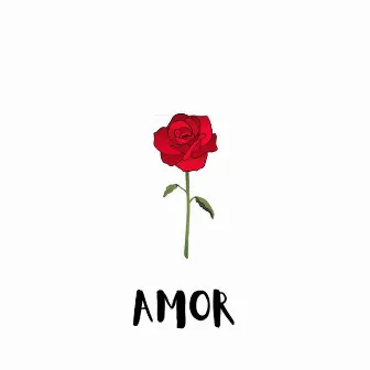 AMOR by LAWZ