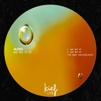 Why Not D? EP by Aleeg