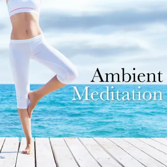 Ambient Meditation: Zen Meditation Music, White Noise, Nature Sounds for Deep Relaxation by Traditional Chinese Music Academy