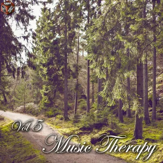 Music Therapy, Vol. 5 by Gennaro Venditto