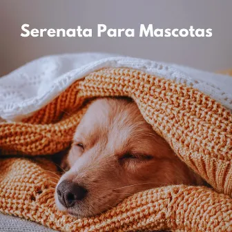 Serenata Para Mascotas: Meditación Con Sonidos De Piano Para Una Mascota Relajada by Tortuga de piano soñolienta