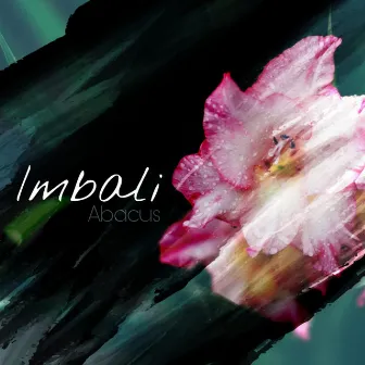 Imbali by Abacus