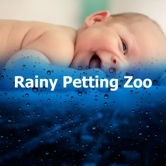 Rainy Petting Zoo