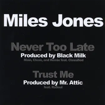 Never Too Late by Miles Jones