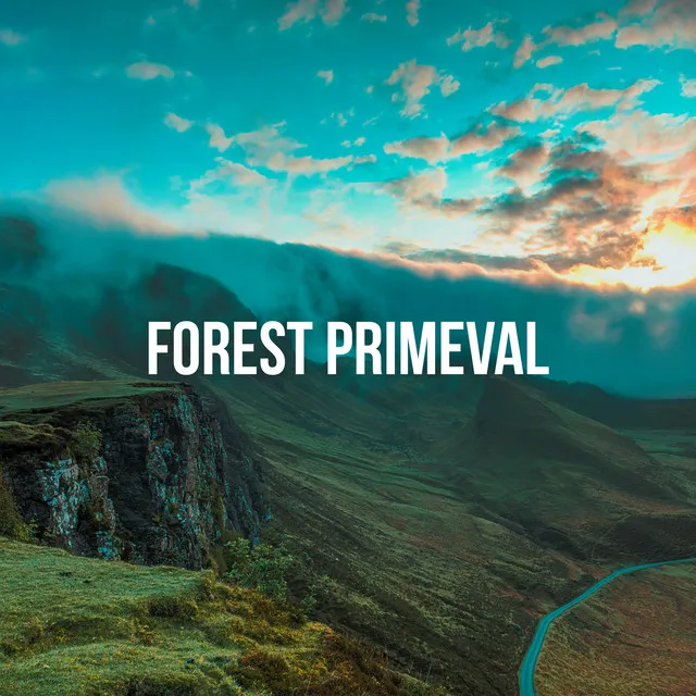 Forest Primeval