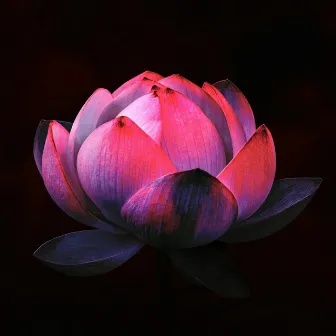 Lotus At Midnight by Avxp