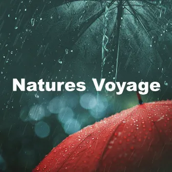 Natures Voyage by Natures Rest