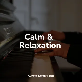 50 Comforting Tracks by Piano Music for Work