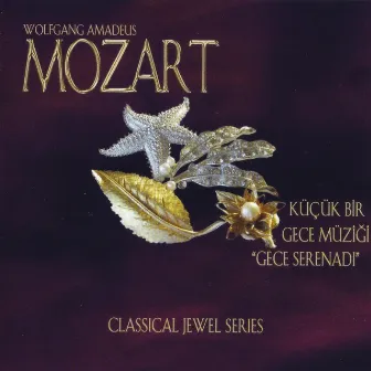 Mozart: Küçük Bir Gece Müziği & Gece Serenadı by Wolfdieter Maurer