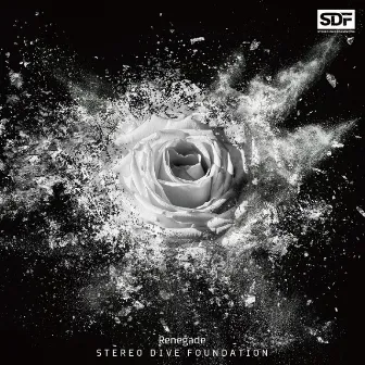 Renegade by STEREO DIVE FOUNDATION