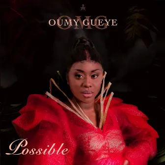 Possible by Omg Oumy Gueye