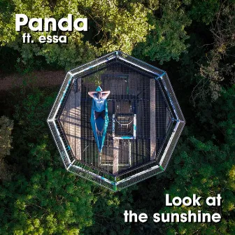 Look At The Sunshine by Panda ZDV