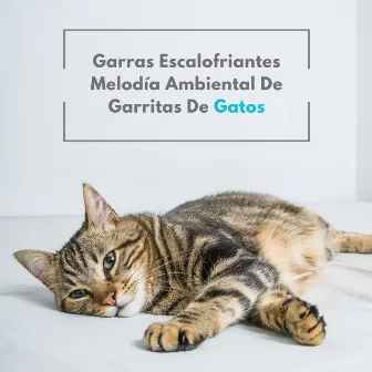 Garras Escalofriantes: Melodía Ambiental De Garritas De Gatos by Ambiente natural