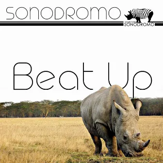 Beat up by Sonodromo