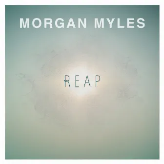 Reap by Morgan Myles