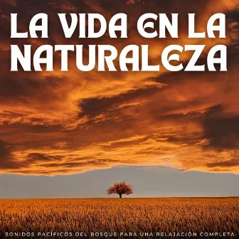 La Vida En La Naturaleza: Sonidos Pacíficos Del Bosque Para Una Relajación Completa by Efectos especiales del bosque