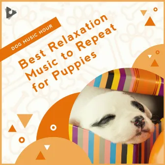 Best Relaxation Music to Repeat for Puppies by Relaxing Puppy Music