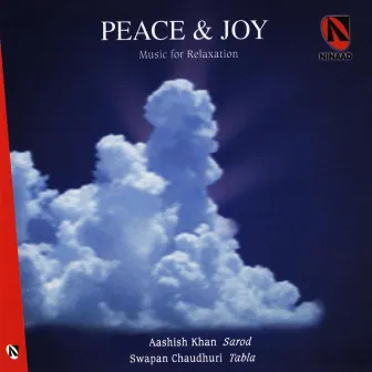 Peace And Joy by Aashish Khan