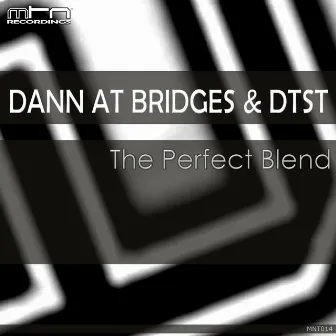 The Perfect Blend by Dtst