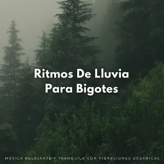 Ritmos De Lluvia Para Bigotes: Música Relajante Y Tranquila Con Vibraciones Oceánicas by Los sonidos de las olas del mar