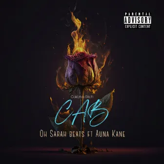 CAB (Cold Ass Bitch) by Oh Sarah Beats