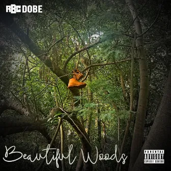 Beautiful Woods by Rbc Dobe