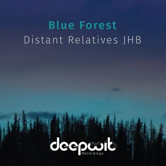 Blue Forest by Distant Relatives JHB