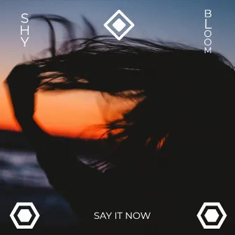 Say It Now by Unknown Artist