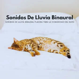 Sonidos De Lluvia Binaural Placida Para La Comodidad Del Gato by Relax My Cat