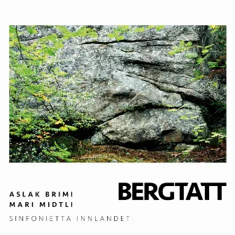 Bergtatt by Aslak Brimi