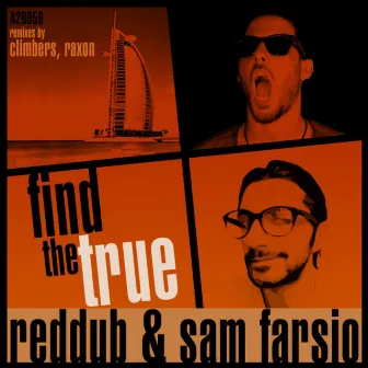 Find The True by RedDub