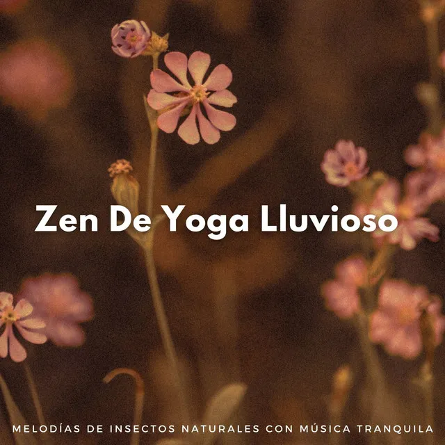 Zen De Yoga Lluvioso: Melodías De Insectos Naturales Con Música Tranquila