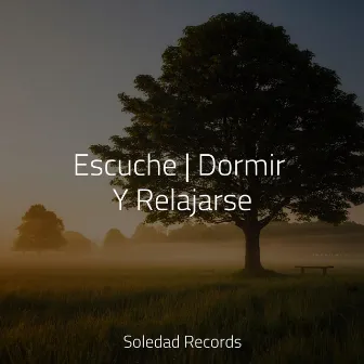 Escuche | Dormir Y Relajarse by Musica para Massagem Especialistas