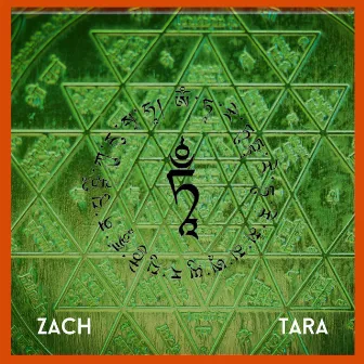 Tara by Zach