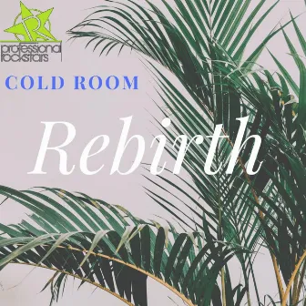 Rebirth by Cold Room