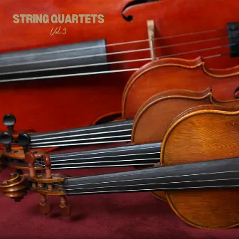 String Quartets Vol.3 by Quartetto Mitja