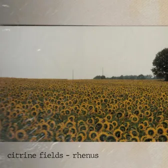 Citrine Fields by Rhenus