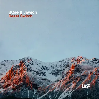 Reset Switch by Javeon