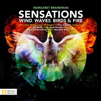 Sensations: Wind, Waves, Birds & Fire by Margaret Brandman