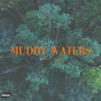 Muddy Waters by Delinquent Society