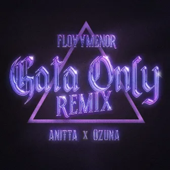 Gata Only (Remix) by Anitta